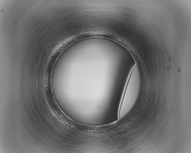 X0000086110732200703231116