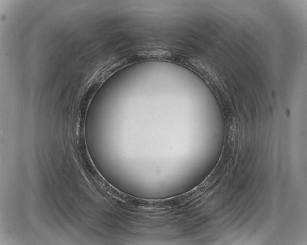 X0000086110739200703231116