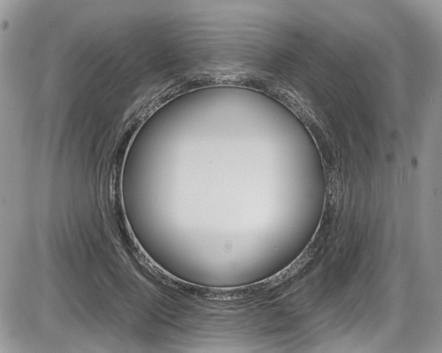 X0000086110740200703231116