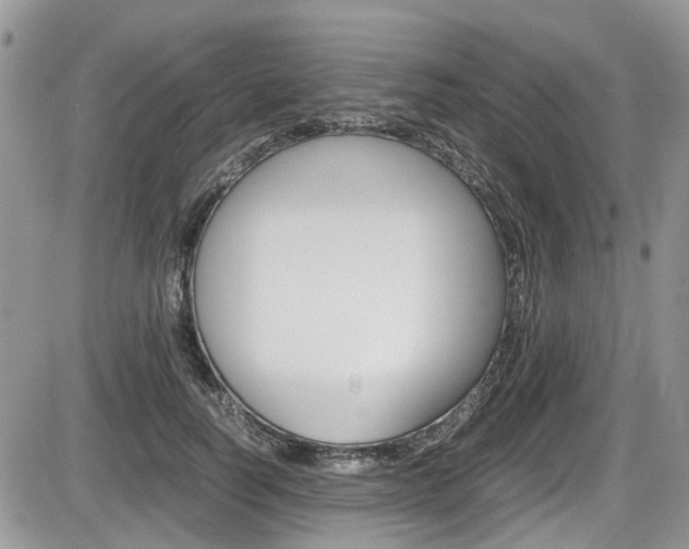 X0000086110746200703231116