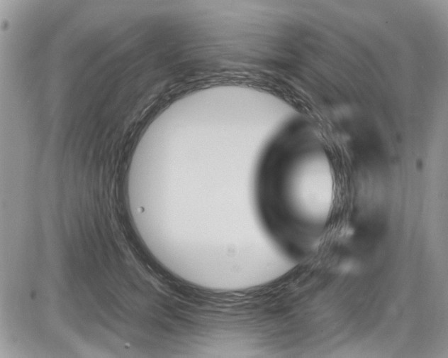 X0000086110750200703231116