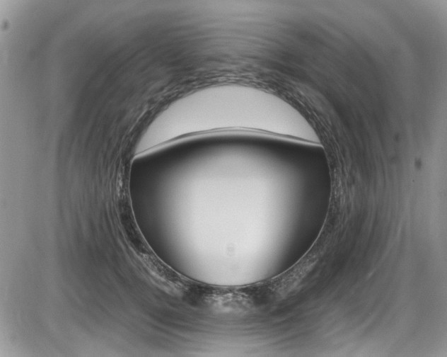 X0000086110752200703231116