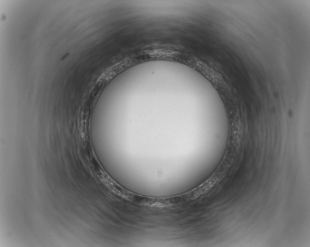 X0000086110755200703231116