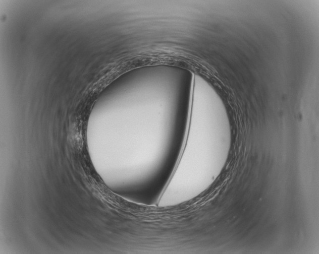 X0000086110771200703231115