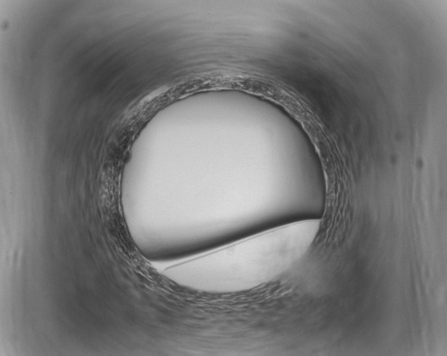 X0000086110773200703231115