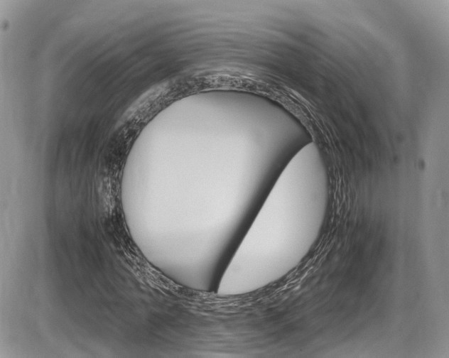 X0000086110774200703231115