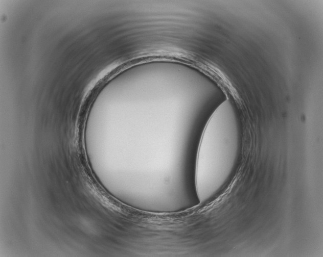X0000086110780200703231115