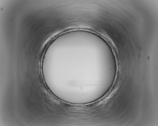 X0000086110781200703231115