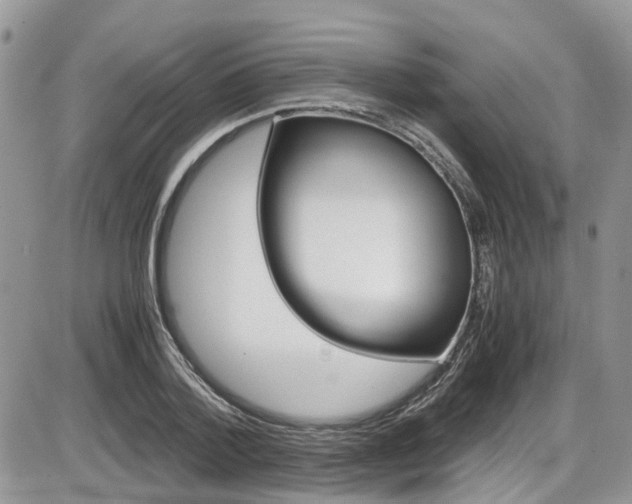 X0000086110788200703231115