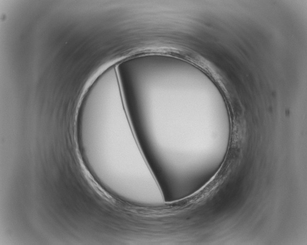 X0000086110795200703231115