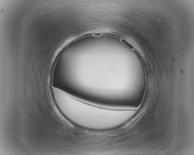 X0000086110797200703231115