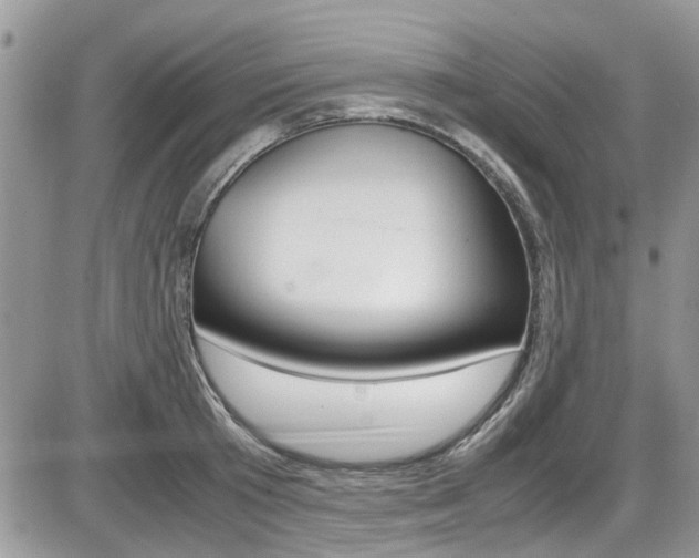 X0000086110801200703231115