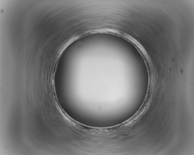 X0000086110809200703231115