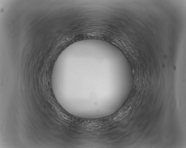 X0000086110817200703231114
