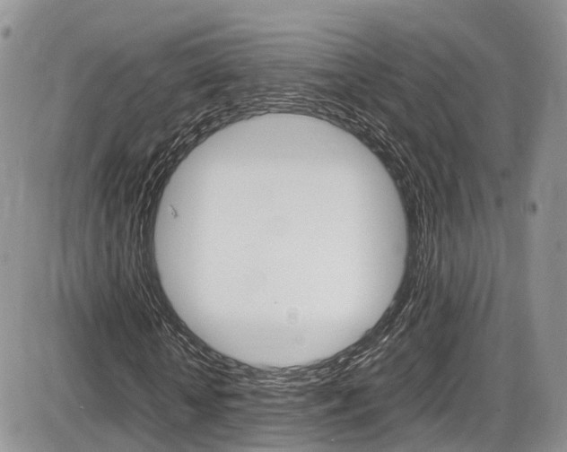 X0000086110818200703231114