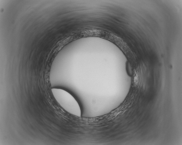 X0000086110819200703231114