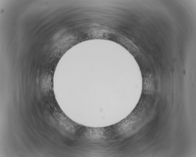 X0000086110820200703231114