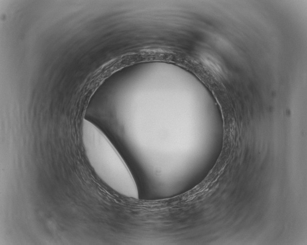 X0000086110821200703231114