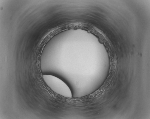 X0000086110823200703231114