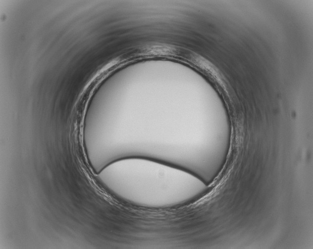 X0000086110827200703231114