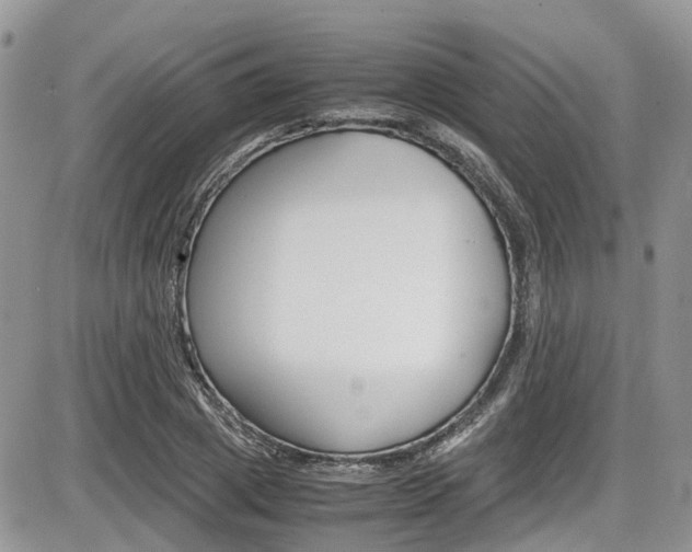 X0000086110833200703231114