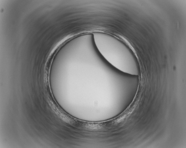 X0000086110835200703231114