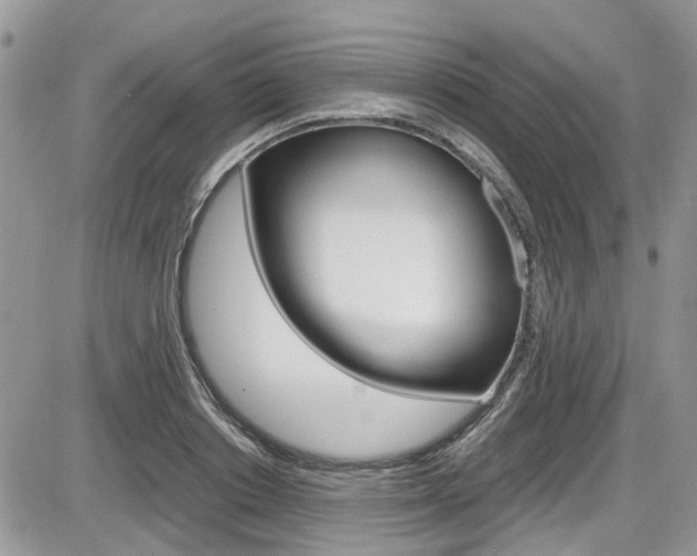 X0000086110842200703231114