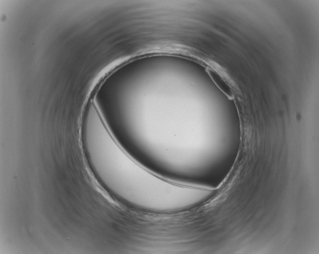 X0000086110846200703231114