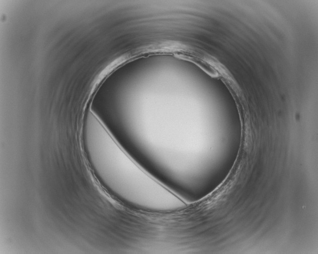 X0000086110850200703231114