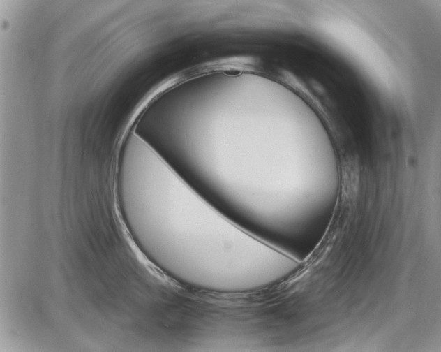 X0000086110861200703231114