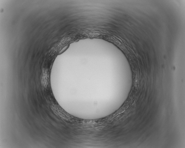 X0000086110866200703231114