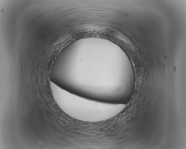 X0000086110869200703231114