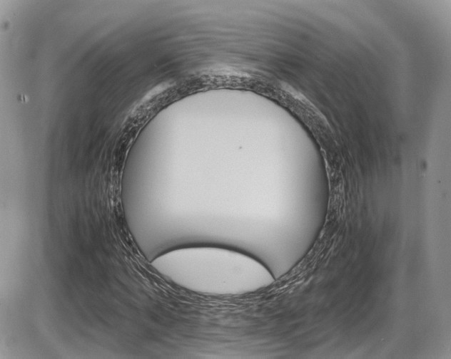 X0000086110870200703231114