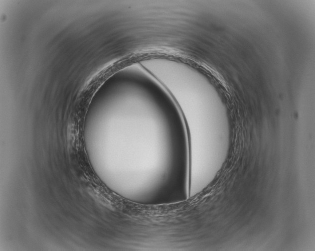 X0000086110872200703231114