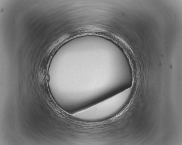 X0000086110873200703231114