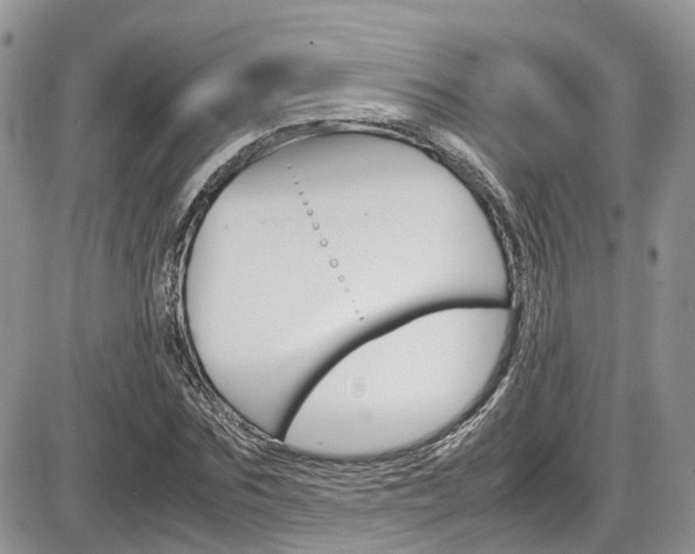 X0000086110875200703231114