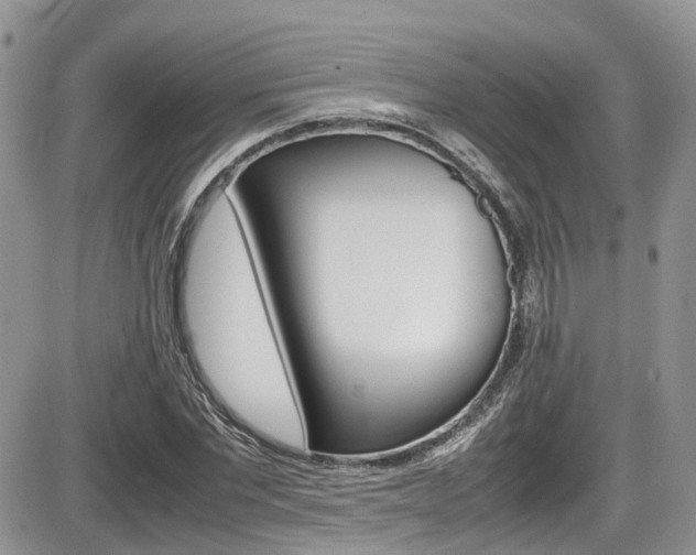 X0000086110877200703231114