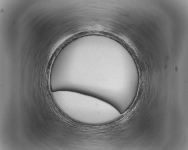 X0000086110879200703231114