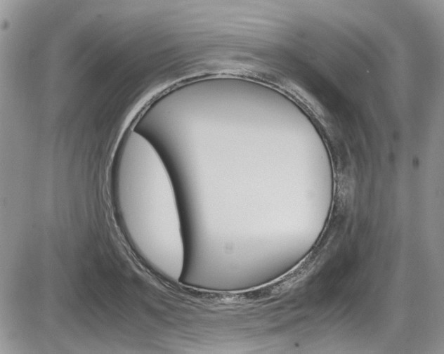 X0000086110891200703231113