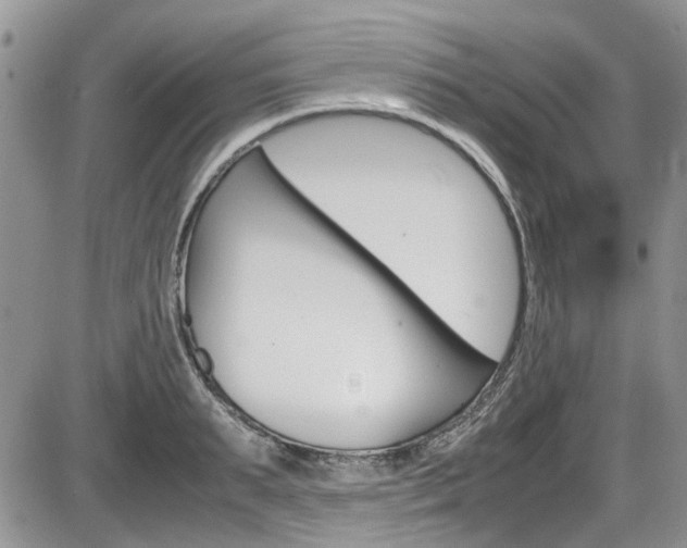 X0000086110895200703231113