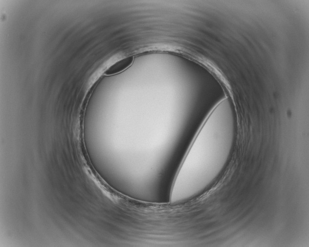 X0000086110898200703231113