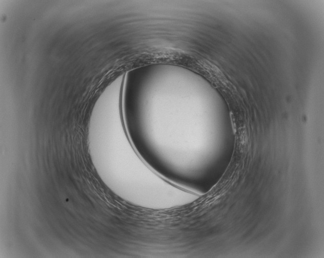 X0000086110916200703231112