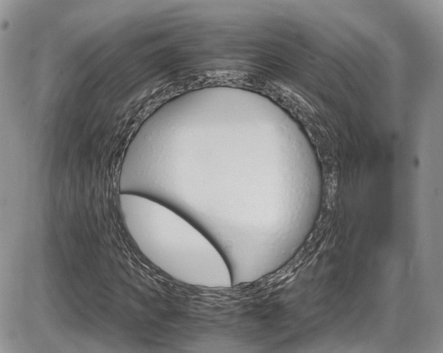 X0000086110917200703231112