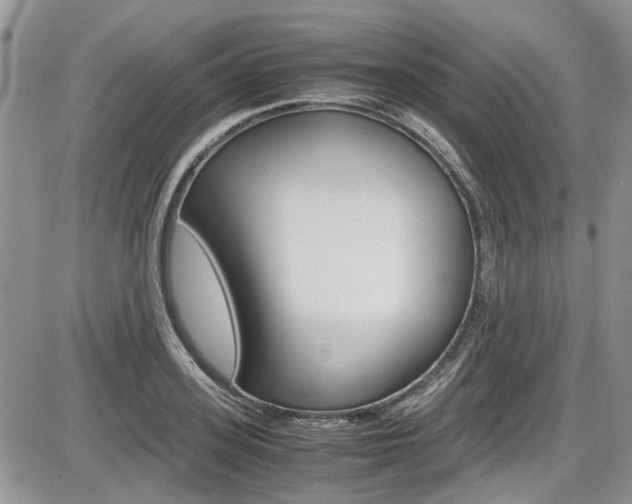 X0000086110939200703231113