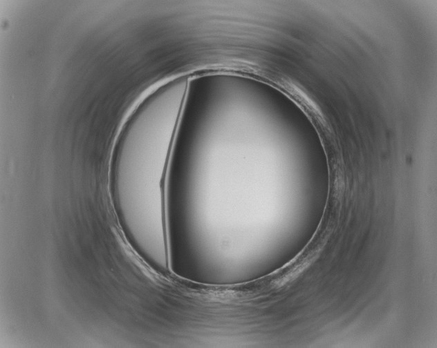 X0000086110940200703231113