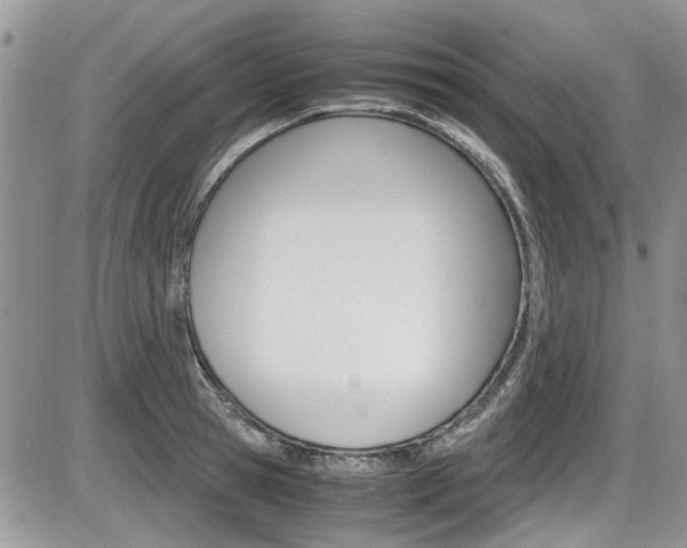 X0000086110945200703231113