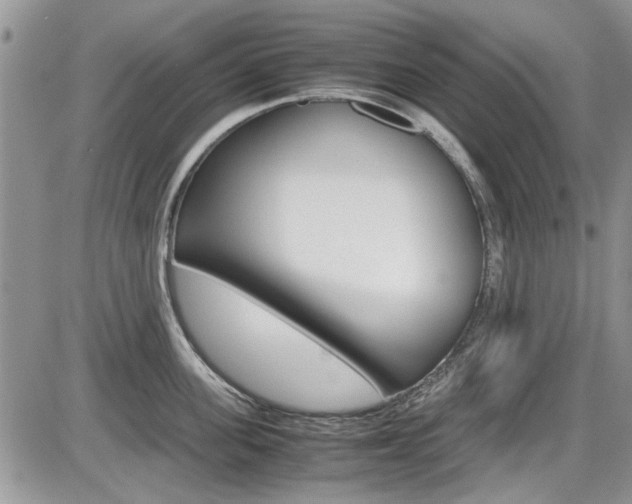 X0000086110955200703231113