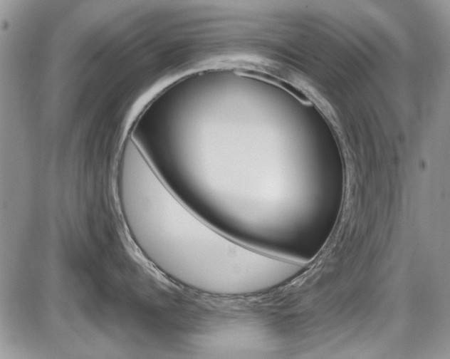 X0000086110960200703231113