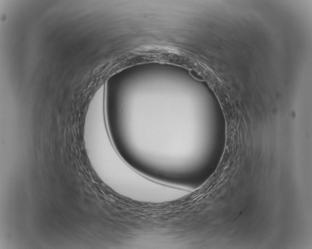 X0000086110965200703231112