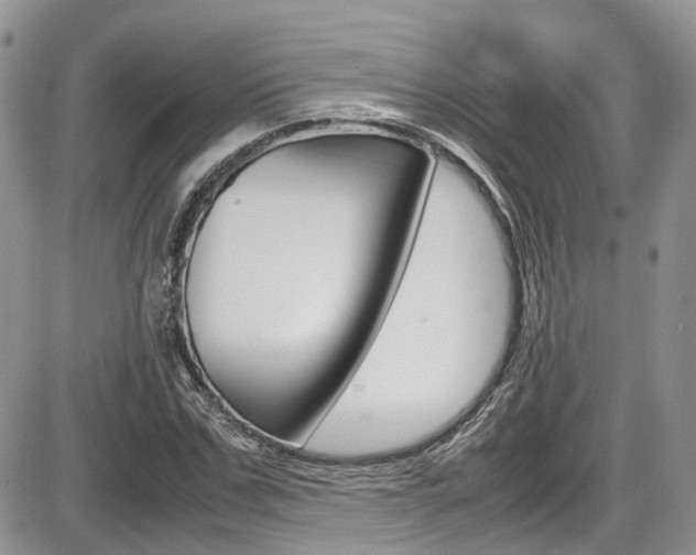 X0000086110971200703231112